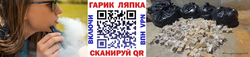 ГАШ Premium Новоржев