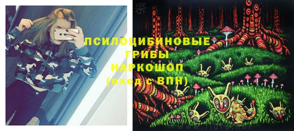 сатива Верхнеуральск