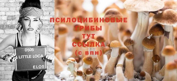 apvp Бородино