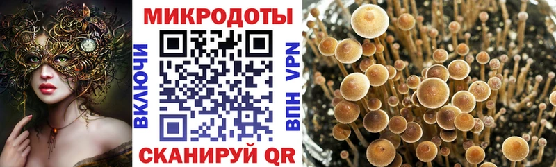 Галлюциногенные грибы мицелий  купить   Новоржев 